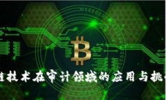 区块链技术在审计领域的应用与挑战分析