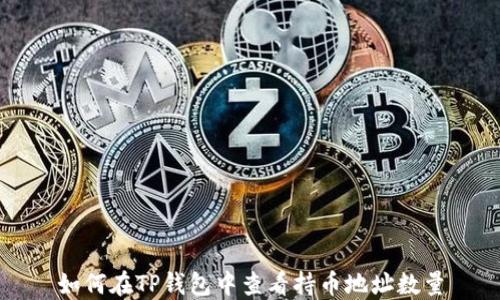 
如何在TP钱包中查看持币地址数量